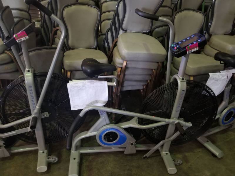 lot 3582 image: Endurance Fan Bike FB300