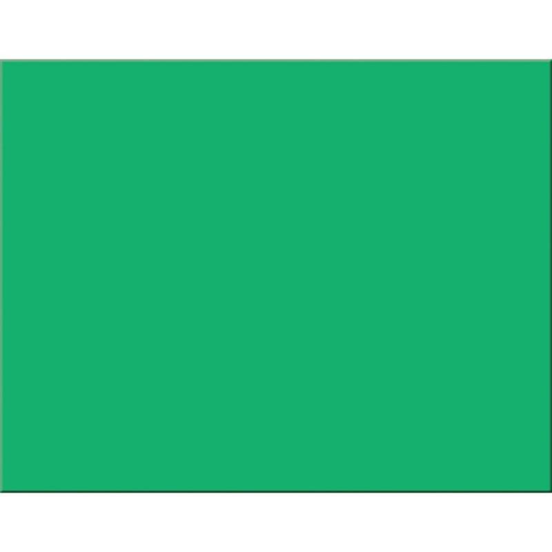 lot 6975 image: (1) package Pacon Railroad Board 4-ply size 22 x 28, Holiday Green, (25) sheets per package