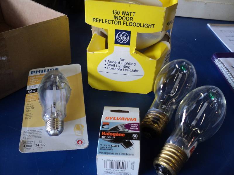 lot 7906 image: (5) ct mixed lot light bulbs, mixed styles, sizes