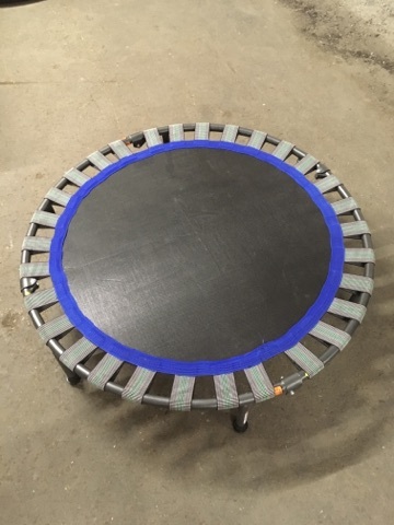 lot 3620 image: Round Personal Sized Trampoline