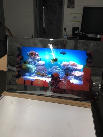 lot 3722 image: Lighted Fish Tank Picture Mirror