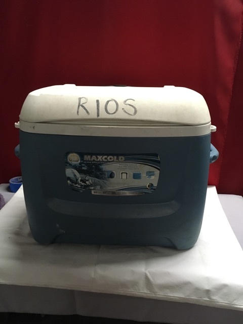 lot 3729 image: Igloo MAXCOLD Island Breeze Rolling Ice Chest  Cooler