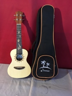 lot 3781 image: Donner Model DUC 3 Acoustic Guitar with Matching Case