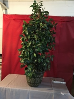 lot 3790 image: Faux Plant in Pot