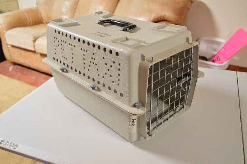 lot 5684 image: Pet Taxi