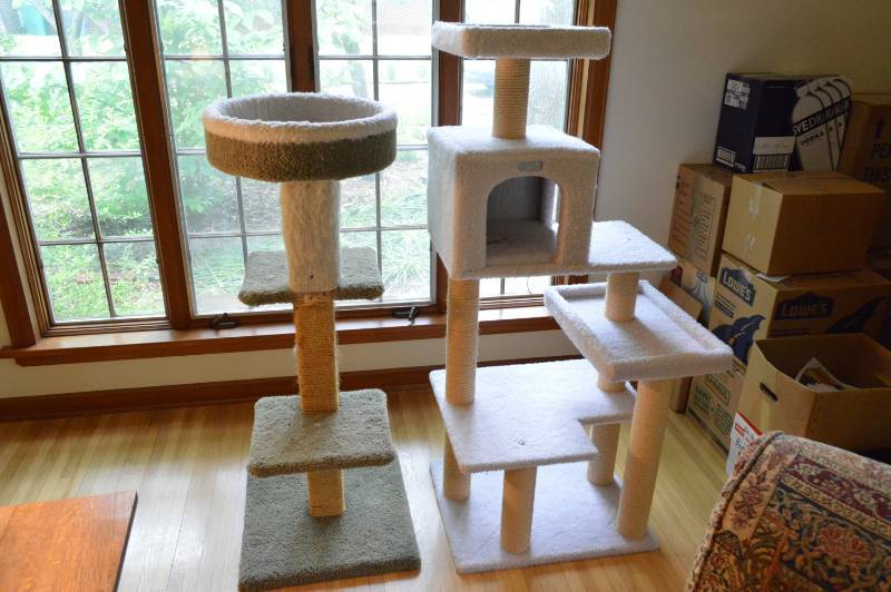 lot 5637 image: 2 Cat Condos