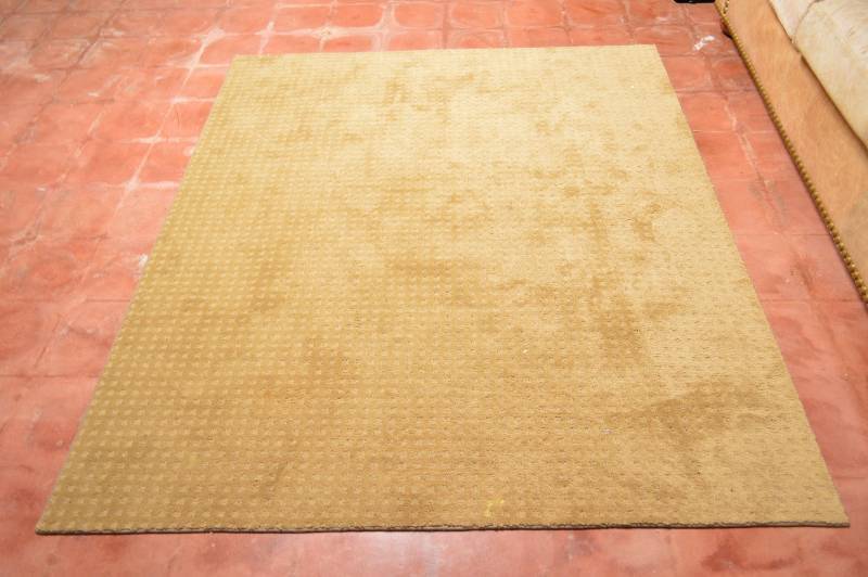 lot 5668 image: Area Rug with Pad - Approx 60 by 70