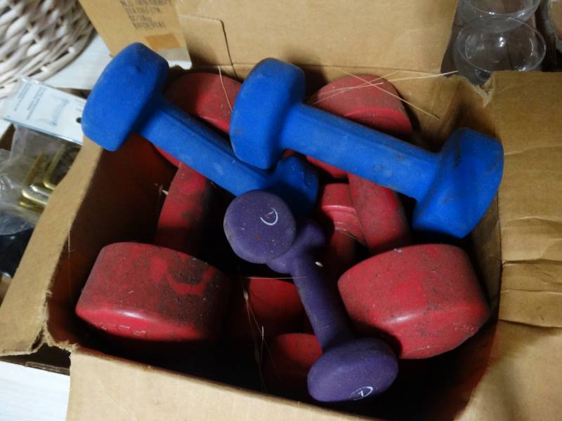 lot 17539 image: Lot of various dumbells.