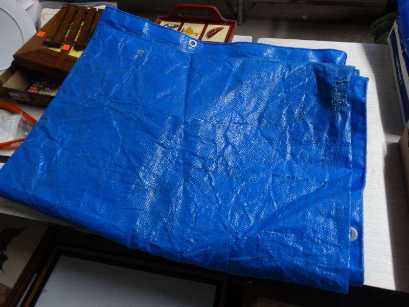 lot 17557 image: Tarp.