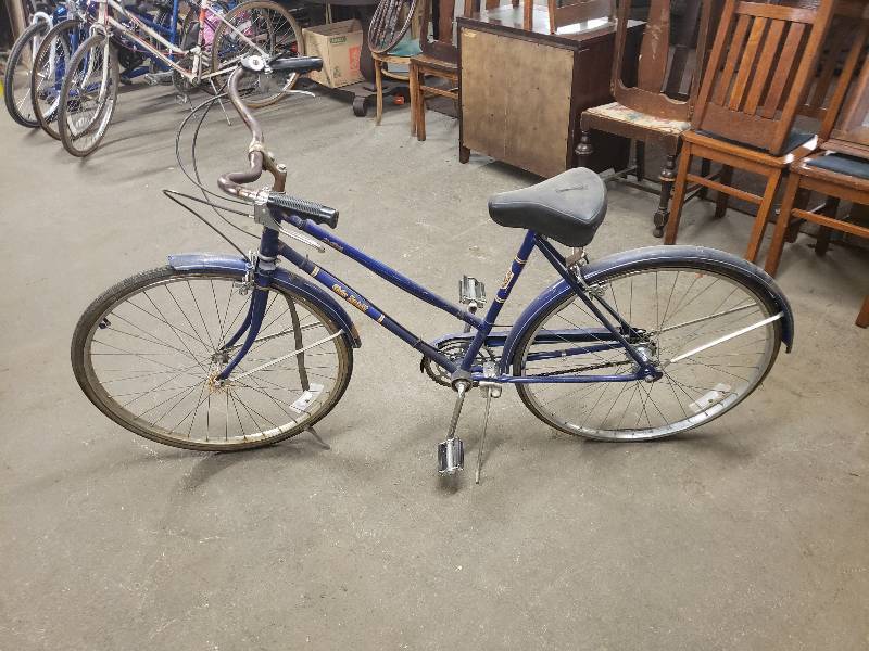 lot 10450 image: Free Spirit Bicycle