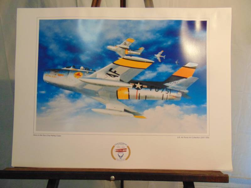 lot 14342 image: Glory in the Sun by Haley Copic Part of the AirForce Art Collection