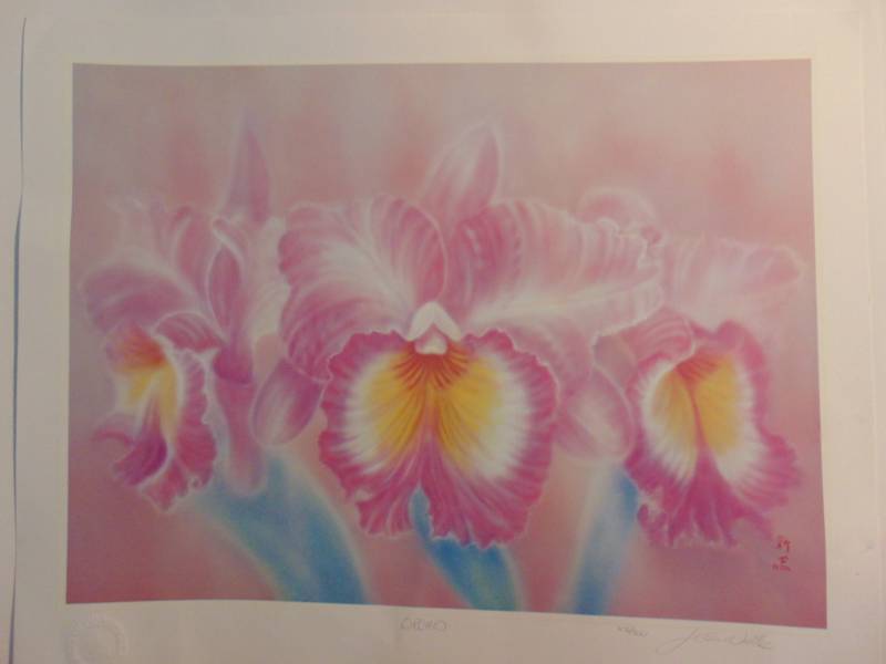 lot 14374 image: The Island Heritage Collection Orchid