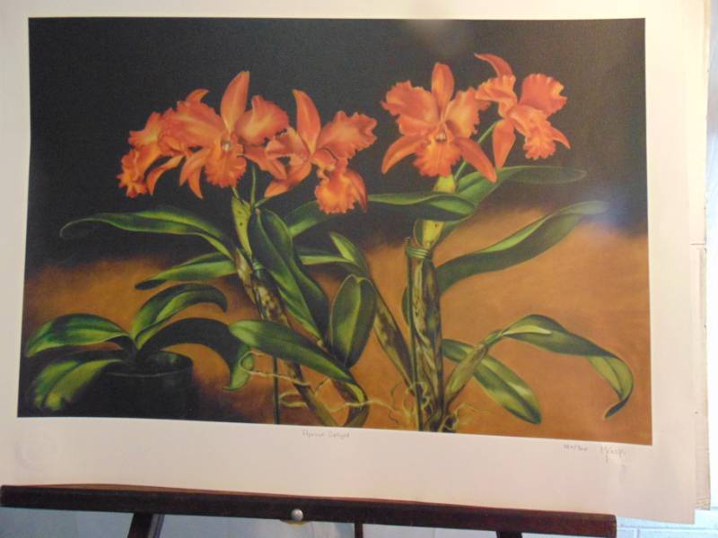 lot 14376 image: The Island Heritage Collection Apricot Delight
