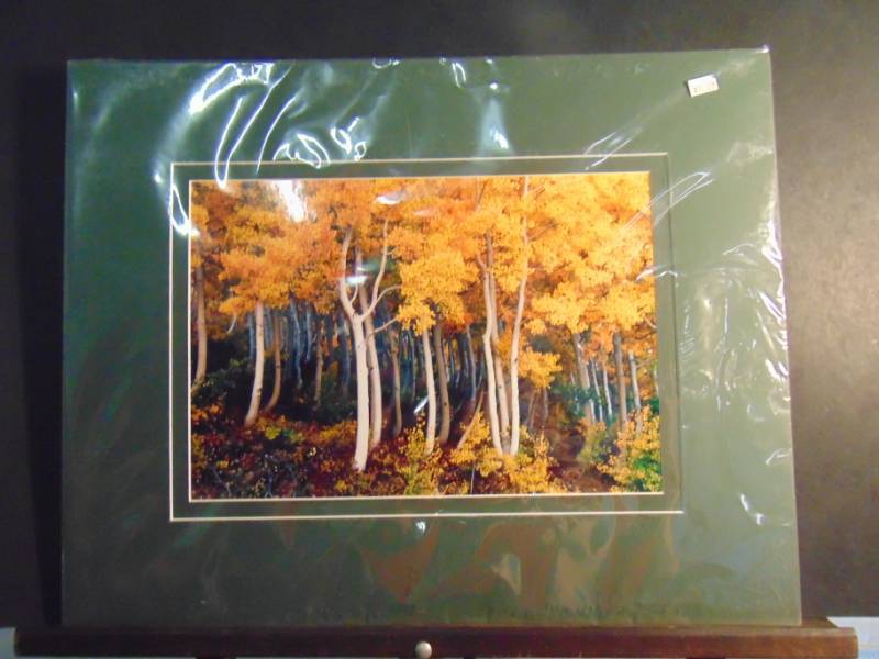 lot 14389 image: October Aspens photograph by Gary Crandall