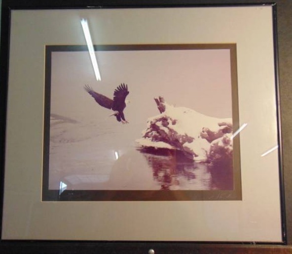 lot 14456 image: American Eagle photo - Matted, Framed and Signed
