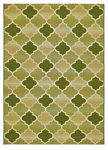 lot 28 image: Jackson Green Area Rug 2x3 R33