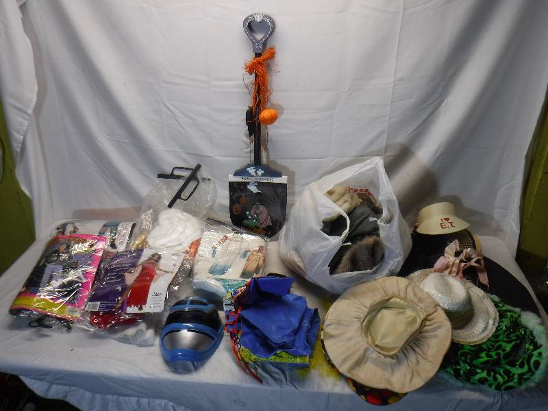 lot 12083 image: Halloween costume lot