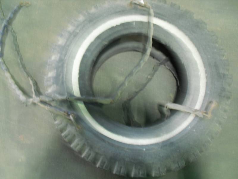 lot 6452 image: Tire Swing
