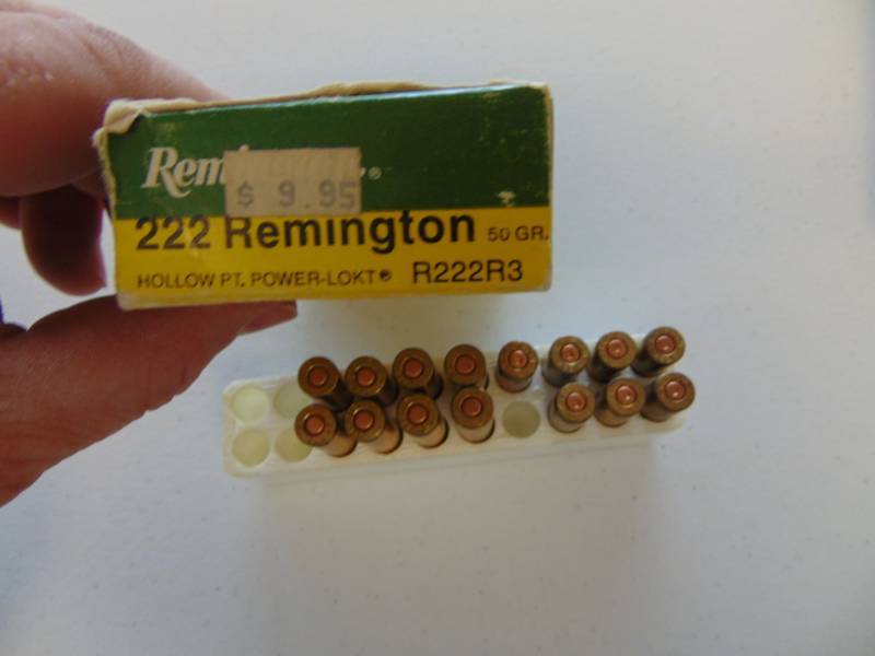 lot 7050 image: 222 Remington 50 Grain, 8 Rounds and 7 Fired - empty brass
