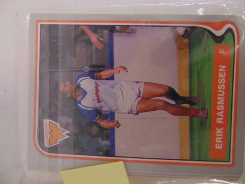 lot 7077 image: 17 1987 Wichita Wings Cards