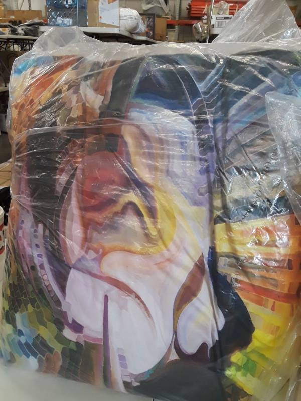 lot 8228 image: 2 Large, Decorative Throw Pillows