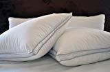 lot 8305 image: Natural Comfort Allergy-Shields 300TC Micro Gel King Allergy Free Filled Pillow, 45-Ounce, Set of 2