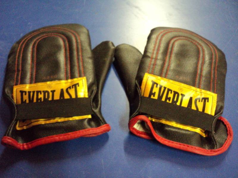 lot 8135 image: (1) pair Vintage Everlast Kids Boxing Gloves