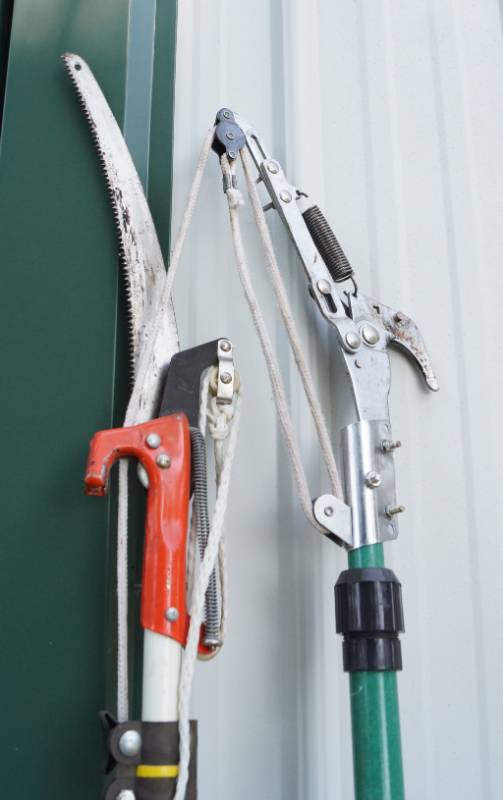 lot 1400 image: Lot of 2 Tree Saws - Pole Saws - Trim high branches