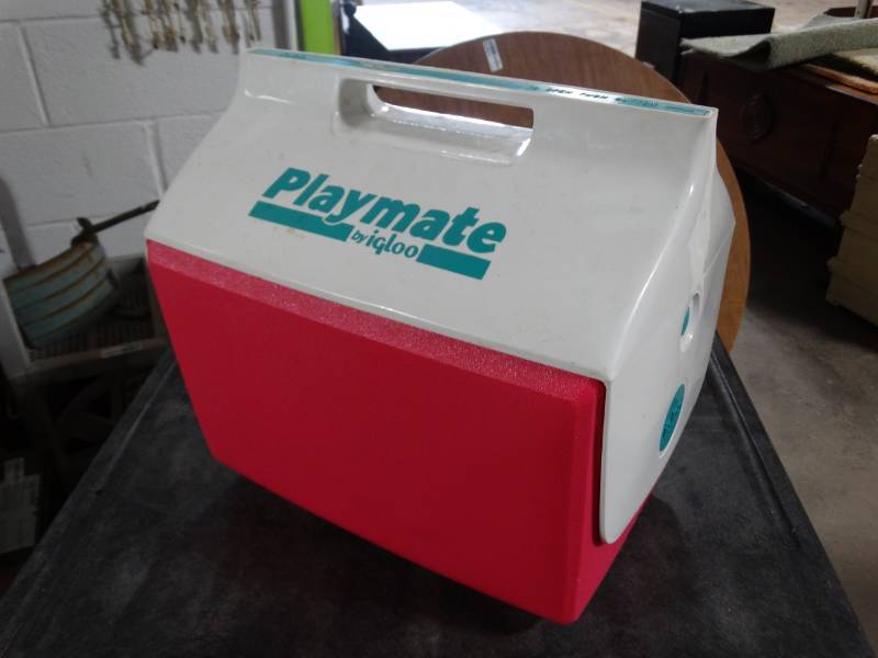 lot 17645 image: Igloo small cooler.