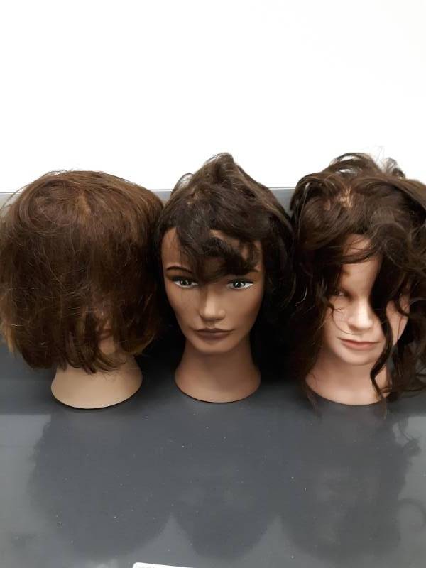 lot 1151 image: Lot of 3 Marianna Mannequin Heads with Hair