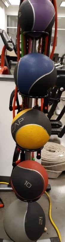 lot 2014 image: CAP Medicine Ball Rack with Puleys
