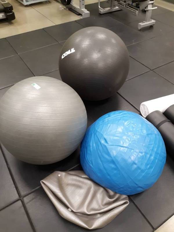 lot 2010 image: Lot of Exercise Balls