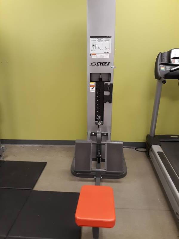 lot 2007 image: Cybex Low Row 5651-90 Exercise Machine