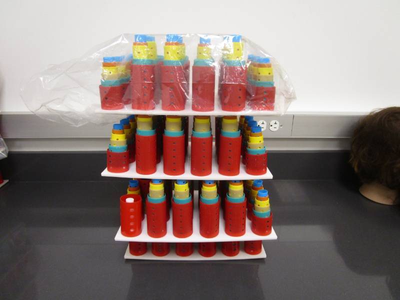lot 1171 image: Four Trays Full of Assorted Size Hair Rollers