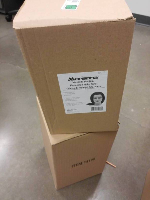 lot 1212 image: Lot of 2 Marianna Mannequin Heads with Hair NIB