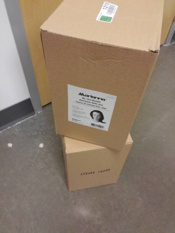 lot 1215 image: Lot of 2 Marianna Mannequin Heads with Hair NIB