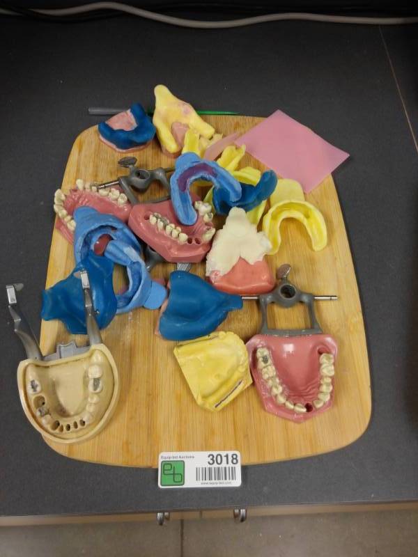 lot 3018 image: Misc Lot of Practice Teeth and Gums Teeth Guards