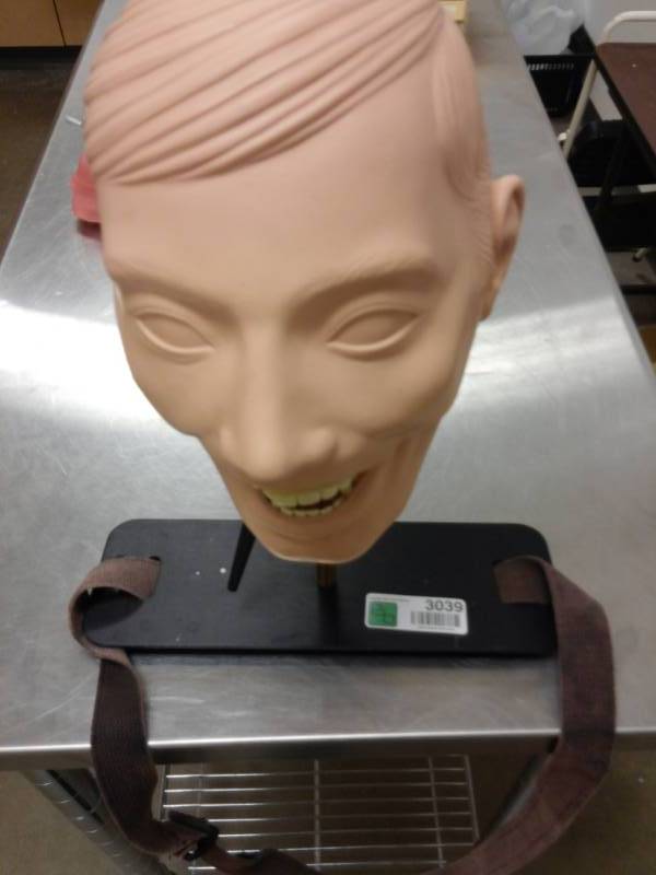 lot 3039 image: Rubber Dental Practice Mannequin wHuman Jaw Dentures on Stand