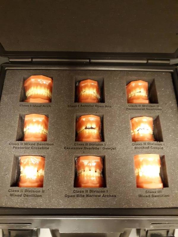 lot 3012 image: Orthondonic Consultation Model Kit and Soak Trays