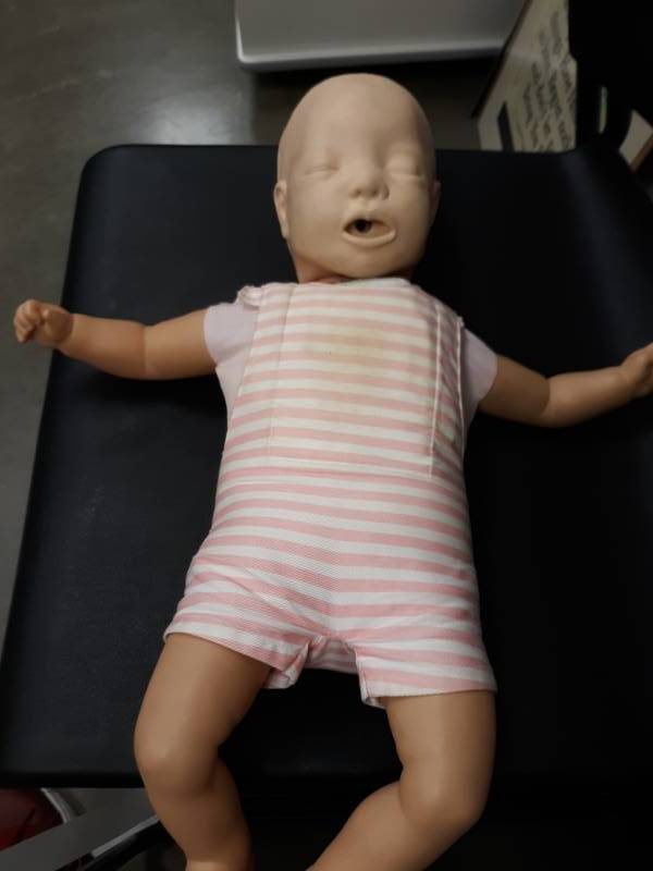 lot 3049 image: Baby Anne CPR Manikin