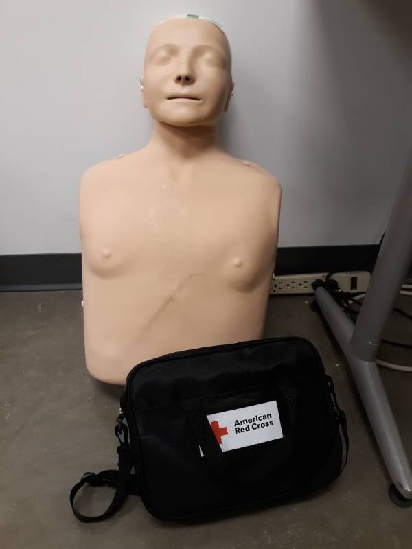lot 3044 image: CPR Training Kit w. Adult Manikin with American Red Cross AED Trainer, Medium Tone