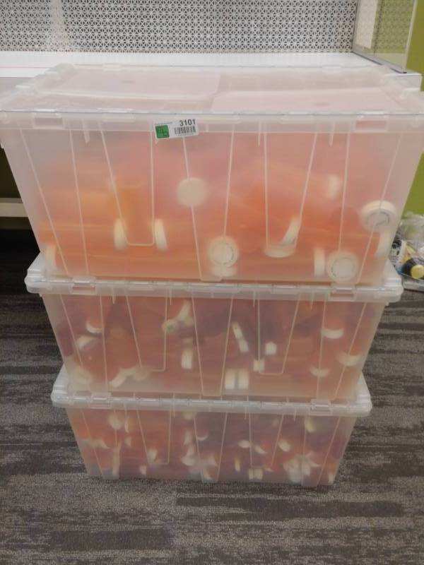 lot 3101 image: Three Totes of Empty Pill Bottles and Caps