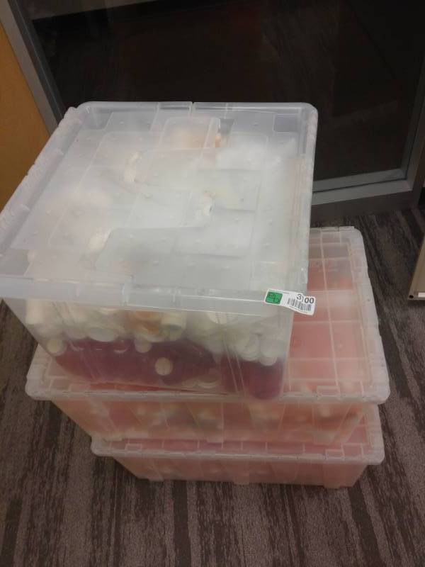 lot 3100 image: Three Totes of Empty Pill Bottles and Caps