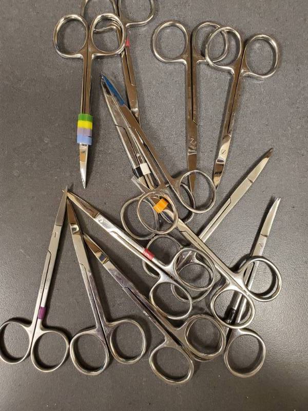 lot 3022 image: Stainless Quala Dental Scissors Lot