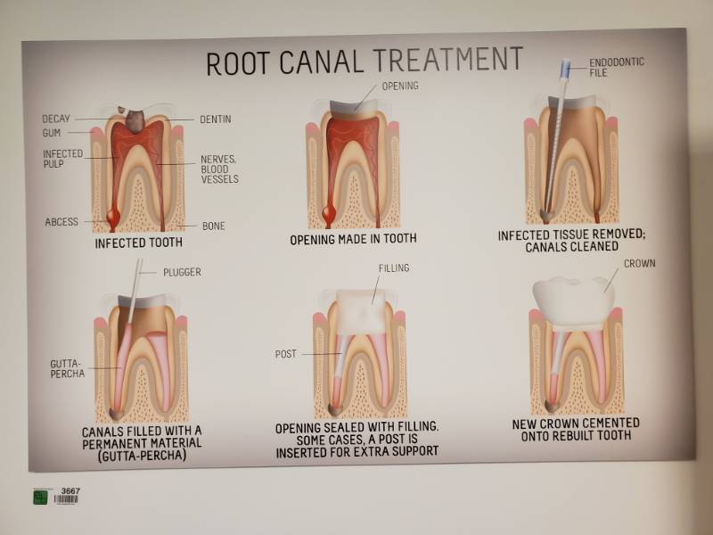 lot 3667 image: Dentistry Wall Decor Lot