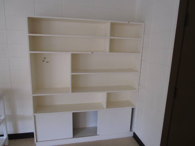 lot 5181 image: Bookshelves with Under Cabinet with Doors