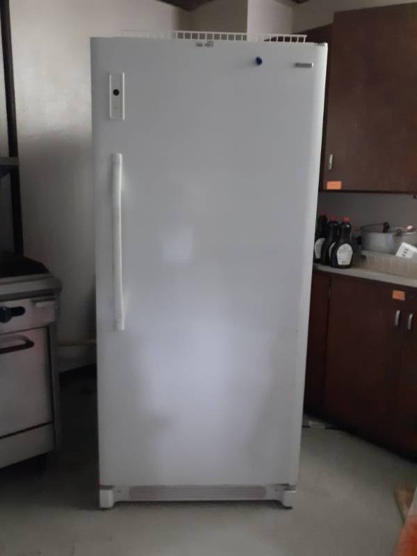 lot 5003 image: Kenmore Model 253.28052808 Upright Freezer