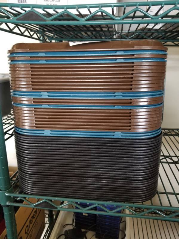 lot 3181 image: Cambro Serving Trays 53
