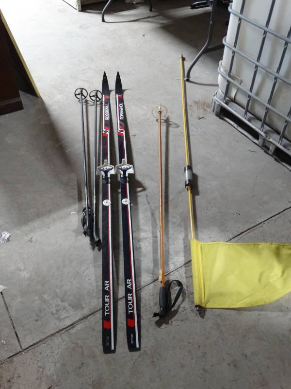 lot 6235 image: Skiis and a flag.