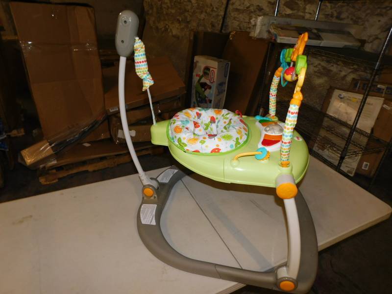 lot 5538 image: Fisher Price Bouncer Appears New